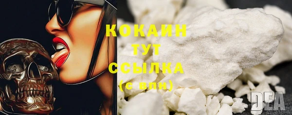 шишки Бронницы