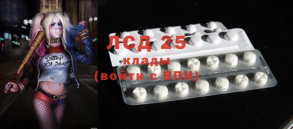 ГАЛЛЮЦИНОГЕННЫЕ ГРИБЫ Богданович