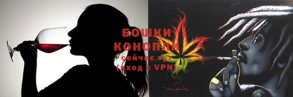ГАЛЛЮЦИНОГЕННЫЕ ГРИБЫ Богданович