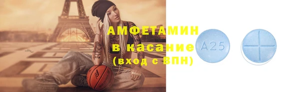 ГАЛЛЮЦИНОГЕННЫЕ ГРИБЫ Богданович