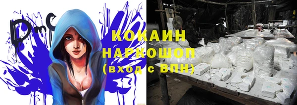 ГАЛЛЮЦИНОГЕННЫЕ ГРИБЫ Богданович